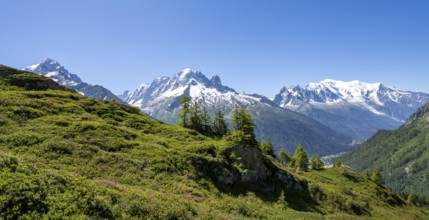 Mountain panorama with glaciated mountain peaks, Aiguille Verte with Aiguille du Midi and Mont