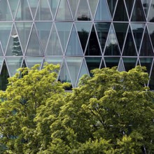 Green tree in front of the Westhafen Tower with a diamond-shaped, petrol-coloured façade structure