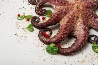 Boiled octopus, close-up, rustic style, no people, top view, close-up