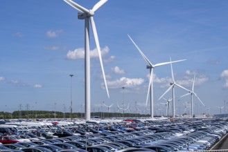 Storage area for new cars in the port of Vlissingen-Oost, vehicles are temporarily stored on over