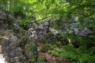 The Felsenmeer in Hemer, Sauerland, geotope, with rugged rock formations, nature reserve, North