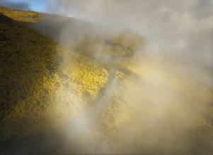 Aerial view of road among yellow Cytisus blooming shrubs near Pico do Arieiro, Portugal in clouds