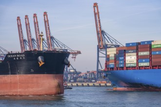 Harbour tugs bring the container freighter Cosco Shipping Leo to its berth at Hutchison Ports ECT