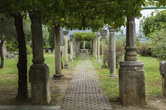 Shade garden with paving stone foot path and pergola covered with live plants and supported by old