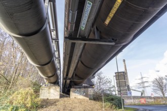 Pipelines for district heating, blast furnace gas, process water, at the Thyssenkrupp Steel site in