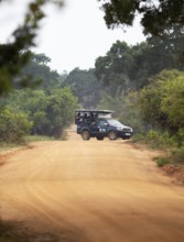 Safari jeep on a sandy track in Yala Natioal Park, Southern Province, Sri Lanka, Asia