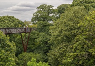 Visitors on the Treetop Walkway, steel structure, Royal Botanic Gardens (Kew Gardens), UNESCO World