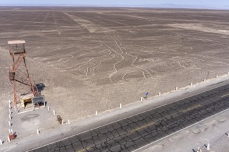 Aerial, The Tree, Nazca geoglyph, Nazca Lines, Nazca, Peru, South America