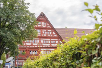 Large half-timbered building behind a large tree under a cloudy sky, Kirchheim Teck, Germany,