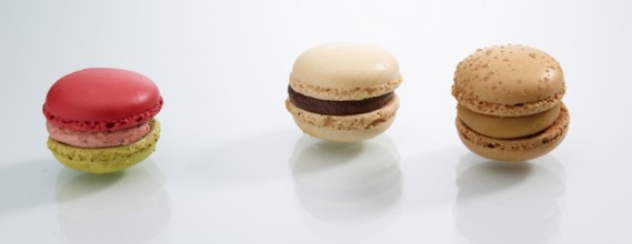 Three differently coloured macarons in front of a white background, studio shot