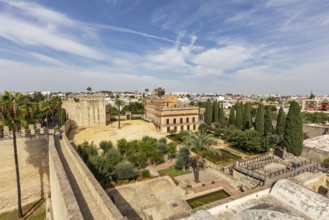 View from above of a city with historic buildings and a castle under a blue sky, Jerez