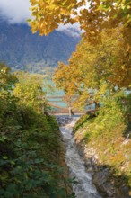 A small stream flows under a wooden bridge, surrounded by autumn-coloured foliage, Lake Brienz,