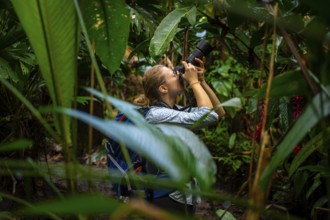 Tourist taking photos in the rainforest, dense vegetation, Tortuguero National Park, Costa Rica,