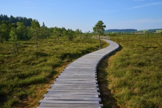 A winding wooden boardwalk leads through a green landscape under a blue sky, Schwarzes Moor,