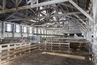 Sheepfolds inside the shearing shed, Estancia San Gregorio, Puente Alto, Metropolitan Region,