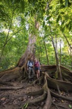 Young couple, tourists between the roots of a strangler fig (Ficus americana), in the tropical