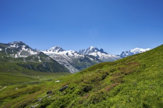 Mountain panorama with glaciated mountain peaks, Aiguille Verte and Glacier du Tour, Col des