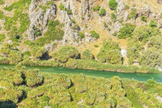 View of Megalopotamos river and Preveli palm forest, Rethymno, Crete, Greek Islands, Greece, Europe