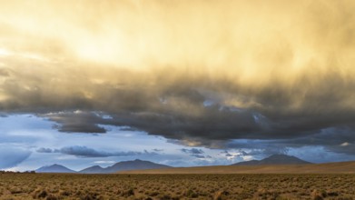 Approaching thunderstorm, Altiplano, Calala, Bolivia, South America