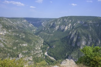 View from Point Sublime into the Tarn Gorge, Massegros Causses Gorges, Département Lozère, France,