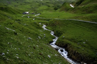 Stream in green mountain meadow with alpine hut, Lech, Lechquellengebirge, Vorarlberg, Austria,