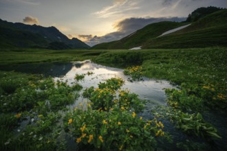 Summit in the morning light with dramatic clouds and marsh marigolds (Caltha) with stream in the