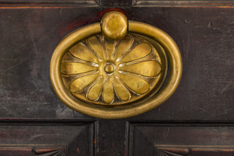 Historic brass door knob on a wooden door, background