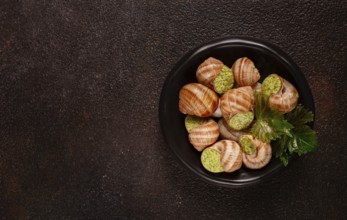 Snails stuffed in Burgundy, on a black plate, with grape leaves, French cuisine, no people