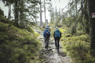 Ascent to the Kleiner Arber, Bavarian Forest, Bavaria, Germany, Europe