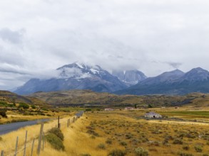 Road and yellow grasslands to Torres del Paine National Park, Patagonia, Chile, South America