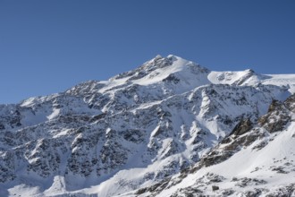 Snow-covered mountain landscape, mountain peak Monte Cevedale, Ortler Alps, Vinschgau Valley,