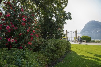 Lakeside promenade, spring, Lugano, Lake Lugano, Lago di Lugano, Ticino, Switzerland, Europe