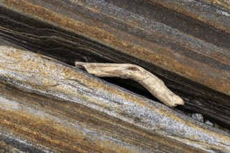 Rock structures with branch in the Verzasca River, near Lavertezzo, Canton Ticino, Switzerland,