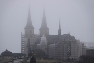 Bamberg Cathedral, fog, winter, Bavaria, Germany, Europe