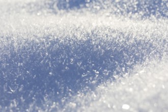 Snow crystals on the surface of a snow cover in winter