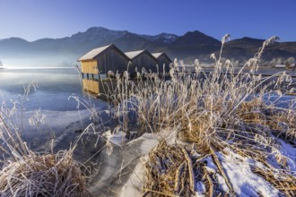 Boat huts, icy shore, lake, morning light, fog, snow, winter, mountains, Lake Kochel, Schlehdorf,