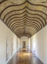 Ceiling fresco on a wooden ceiling in the Toulouse-Lautrec Museum in the Palais de la Berbie, Albi,