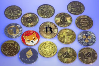 Various cryptocurrencies, symbol coins, optical placeholder for the digital currency, blockchain,