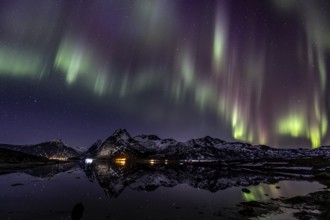 Northern lights over fjord, steep mountains, winter, aurora borealis, Flakstadoya, Lofoten, Norway,