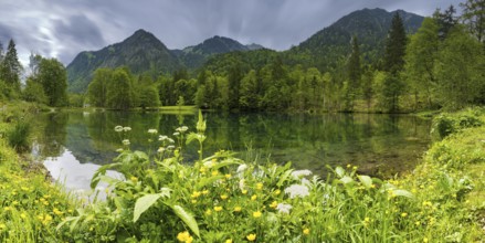 Christlessee, a mountain lake in the Trettachtal valley, near Oberstdorf, Oberallgäu, Allgäu,