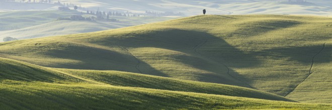 Landscape at sunrise around Pienza, Val d'Orcia, Orcia Valley, UNESCO World Heritage Site, Province