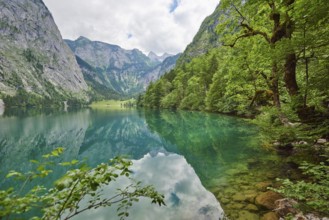 Landscape of the Obersee lake, Berchtesgadener Land, Bavaria, Germany, Europe