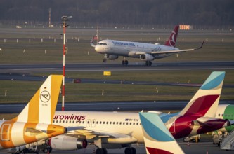 Düsseldorf Airport, Turkish Airlines aircraft landing, Condor and Eurowings Airbus on the apron,