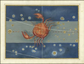 Astronomy. The Celestial Atlas, the Uranometria, Ptolemaic constellations, by Johann Bayer (1572 -