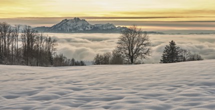 View from Zugerberg over the sea of fog in the light of the setting sun, behind the snow-covered