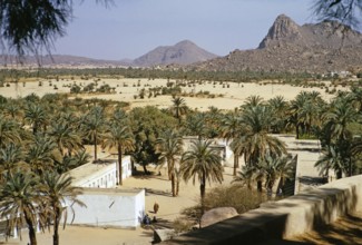 Date palms and buildings of the oasis settlement of Djanet in the Sahara Desert, Algeria, North