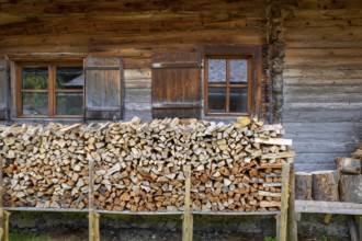 Alpine hut detail, Eng-Alm, Karwendel mountains, Tyrol, Austria, Europe