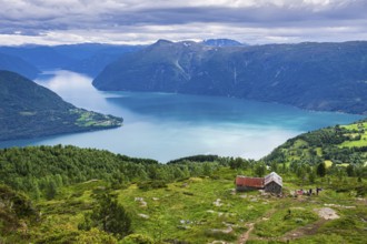 Farms above the Sognefjord (inner branch Lustrafjord), on hike to summit of Molden. Sognefjord