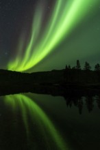 Northern Lights (Aurora borealis) reflected in a lake, Rago National Park, Nordland, Norway,