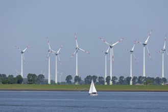 Wind farm near Brunsbüttel, Elbe, Sailing boat, Schleswig-Holstein, Germany, Europe